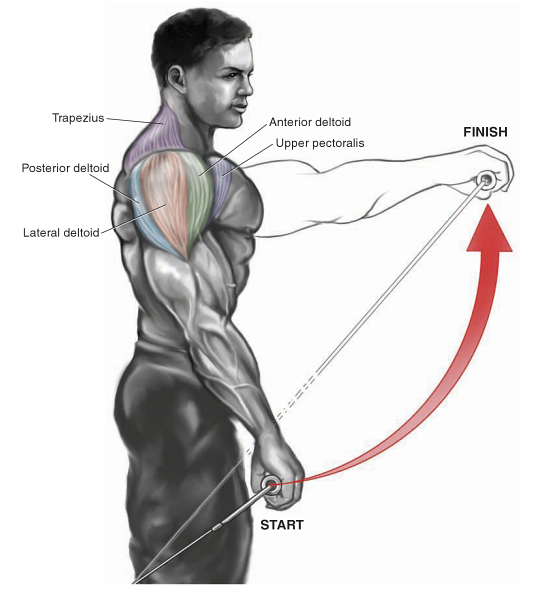 Cable Front Raise