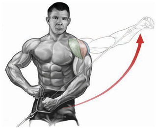 cable lateral raise