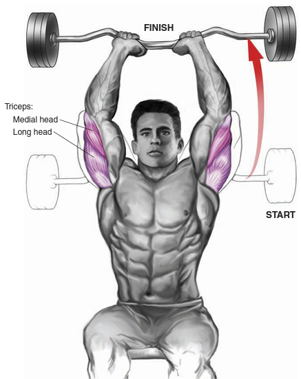 seated triceps press